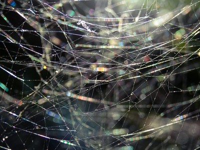 Paliscope: Why we believe it's important to integrate tools 