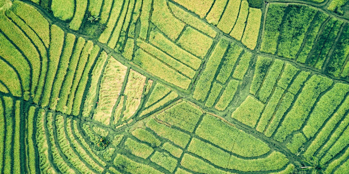 Investigation technology isn’t just useful – it’s necessary