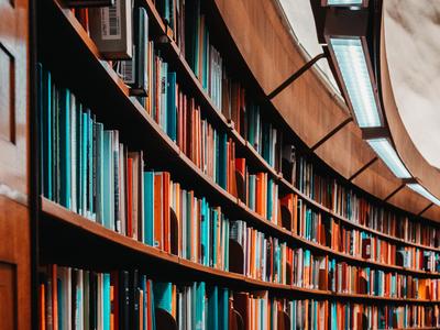 Introducing our co-hosted PhD in partnership with PIER